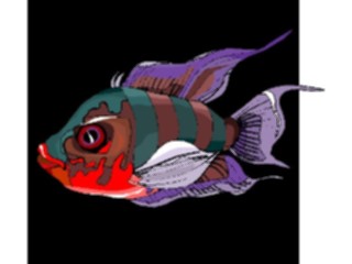 Sticker Custom Preview Image #015286 Animals Aquatic Fish181