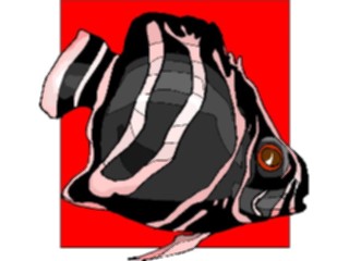 Sticker Custom Preview Image #015287 Animals Aquatic Fish182