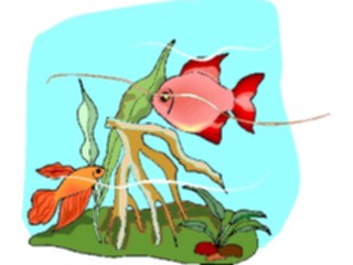 Sticker Custom Preview Image #015288 Animals Aquatic Fish183