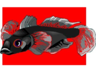 Sticker Custom Preview Image #015289 Animals Aquatic Fish184