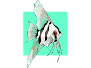 Sticker Custom Preview Image #015290 Animals Aquatic Fish185