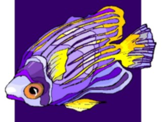 Sticker Custom Preview Image #015291 Animals Aquatic Fish186