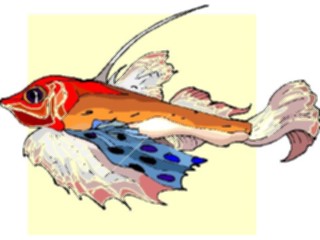 Sticker Custom Preview Image #015292 Animals Aquatic Fish187