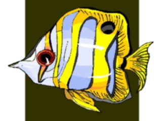 Sticker Custom Preview Image #015293 Animals Aquatic Fish188