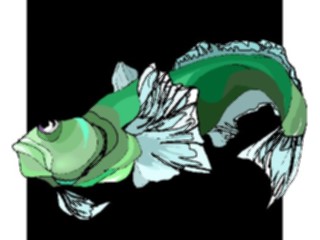 Sticker Custom Preview Image #015295 Animals Aquatic Fish190