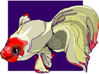 Sticker Custom Preview Image #015296 Animals Aquatic Fish191