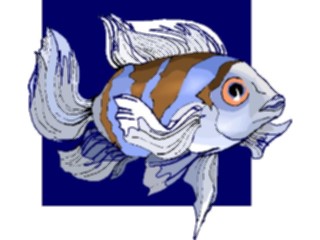 Sticker Custom Preview Image #015297 Animals Aquatic Fish192