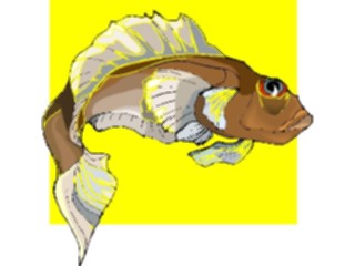 Sticker Custom Preview Image #015298 Animals Aquatic Fish193