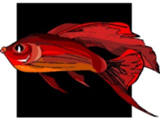 Sticker Custom Preview Image #015302 Animals Aquatic Fish197