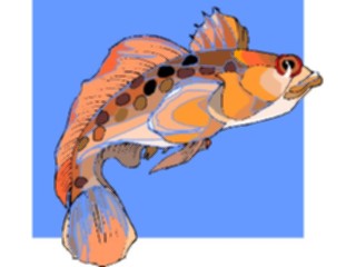 Sticker Custom Preview Image #015303 Animals Aquatic Fish198