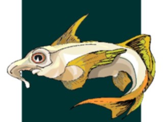 Sticker Custom Preview Image #015305 Animals Aquatic Fish200