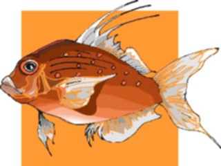 Sticker Custom Preview Image #015307 Animals Aquatic Fish202