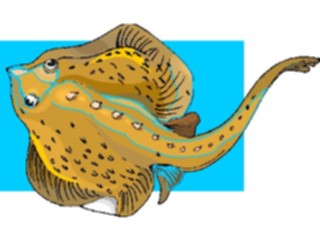 Sticker Custom Preview Image #015309 Animals Aquatic Fish204