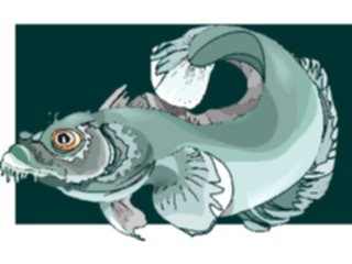 Sticker Custom Preview Image #015310 Animals Aquatic Fish205