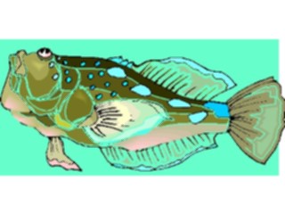 Sticker Custom Preview Image #015315 Animals Aquatic Fish210