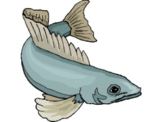 Sticker Custom Preview Image #015316 Animals Aquatic Fish211