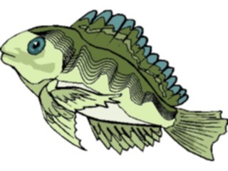 Sticker Custom Preview Image #015326 Animals Aquatic Fish221