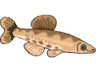 Sticker Custom Preview Image #015327 Animals Aquatic Fish222