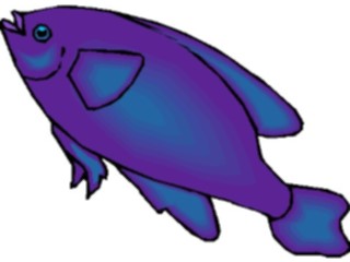 Sticker Custom Preview Image #015332 Animals Aquatic Fish227