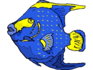 Sticker Custom Preview Image #015338 Animals Aquatic Fish233