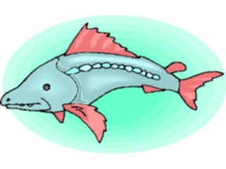 Sticker Custom Preview Image #015340 Animals Aquatic Fish235