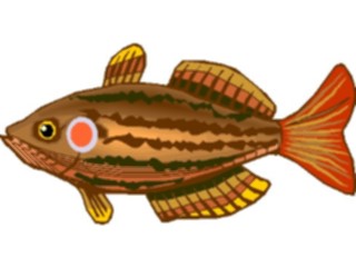 Sticker Custom Preview Image #015343 Animals Aquatic Fish238