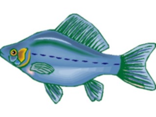 Sticker Custom Preview Image #015344 Animals Aquatic Fish239