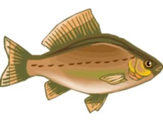 Sticker Custom Preview Image #015345 Animals Aquatic Fish240