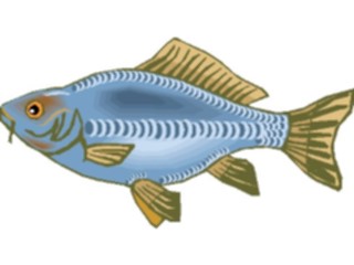 Sticker Custom Preview Image #015346 Animals Aquatic Fish241