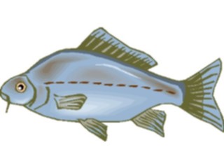 Sticker Custom Preview Image #015348 Animals Aquatic Fish243