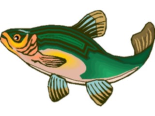 Sticker Custom Preview Image #015349 Animals Aquatic Fish244