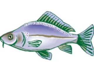 Sticker Custom Preview Image #015350 Animals Aquatic Fish245