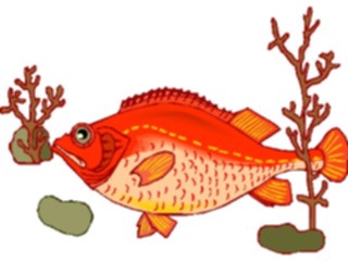 Sticker Custom Preview Image #015351 Animals Aquatic Fish246