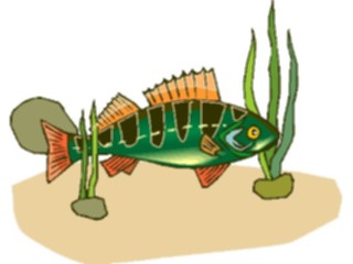 Sticker Custom Preview Image #015352 Animals Aquatic Fish247