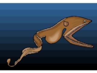 Sticker Custom Preview Image #015353 Animals Aquatic Fish248