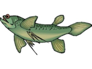 Sticker Custom Preview Image #015356 Animals Aquatic Fish251