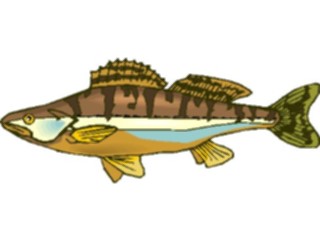 Sticker Custom Preview Image #015360 Animals Aquatic Fish255