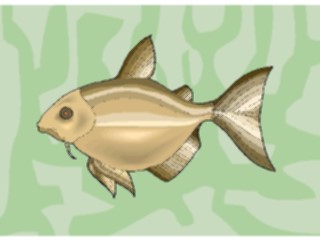 Sticker Custom Preview Image #015362 Animals Aquatic Fish257