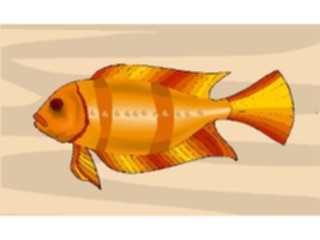 Sticker Custom Preview Image #015367 Animals Aquatic Fish262