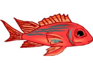 Sticker Custom Preview Image #015369 Animals Aquatic Fish264