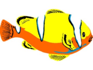 Sticker Custom Preview Image #015376 Animals Aquatic Fish271