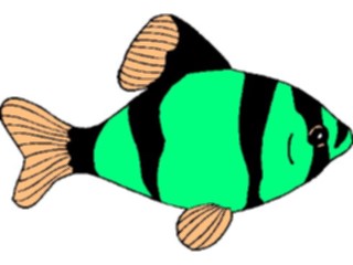 Sticker Custom Preview Image #015382 Animals Aquatic Fish277