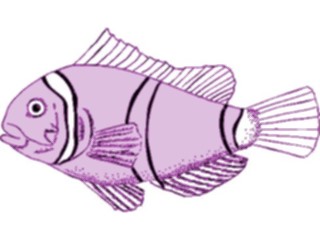 Sticker Custom Preview Image #015389 Animals Aquatic Fish284