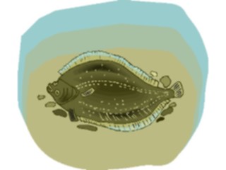 Sticker Custom Preview Image #015415 Animals Aquatic Flounder2