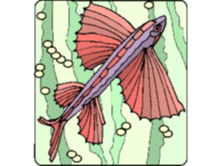 Sticker Custom Preview Image #015416 Animals Aquatic Flying Fish1