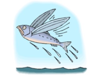 Sticker Custom Preview Image #015417 Animals Aquatic Flying Fish2