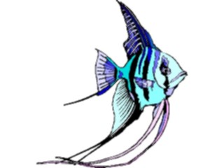 Sticker Custom Preview Image #015418 Animals Aquatic Freshwater Angelfish