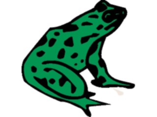 Sticker Custom Preview Image #015423 Animals Aquatic Frog04