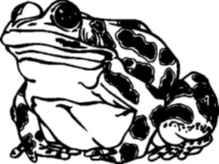 Sticker Custom Preview Image #015424 Animals Aquatic Frog05