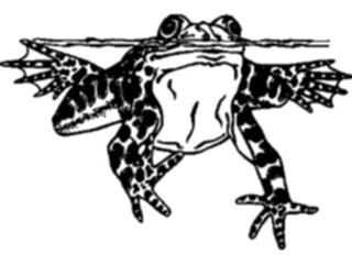 Sticker Custom Preview Image #015425 Animals Aquatic Frog06